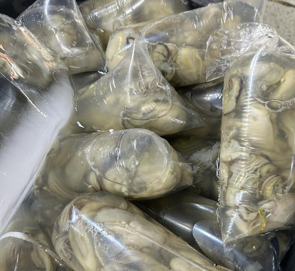 Talaba Oyster Meat (no shell)