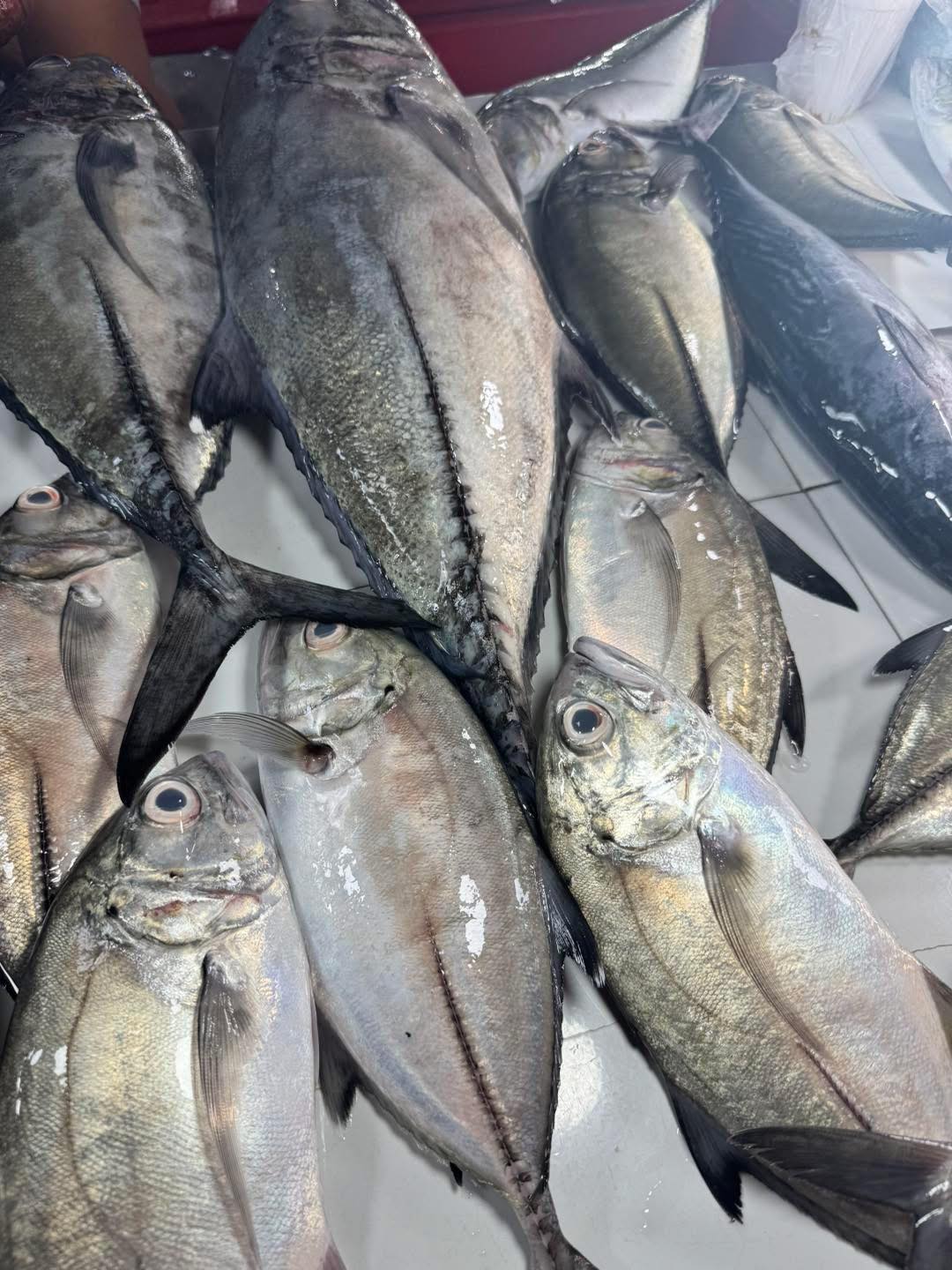 Talakitok