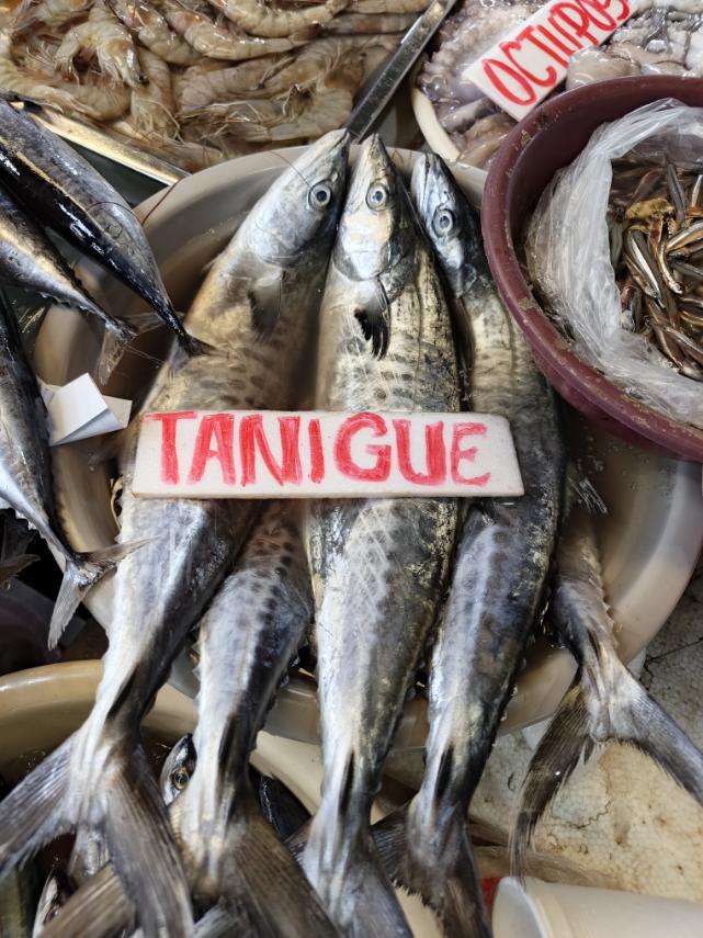 Tanigue (buo)