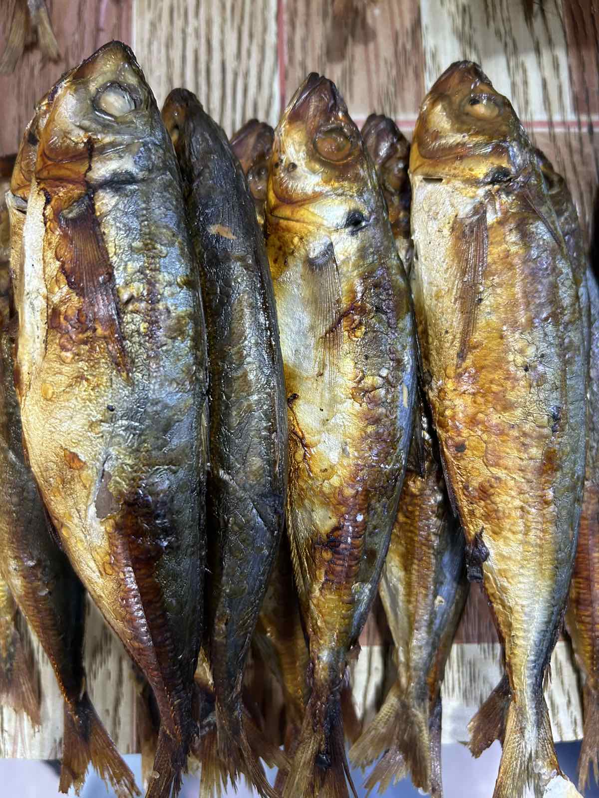 Tinapa Galunggong