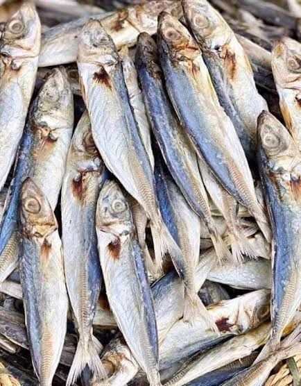 Tuyo Galunggong Dried