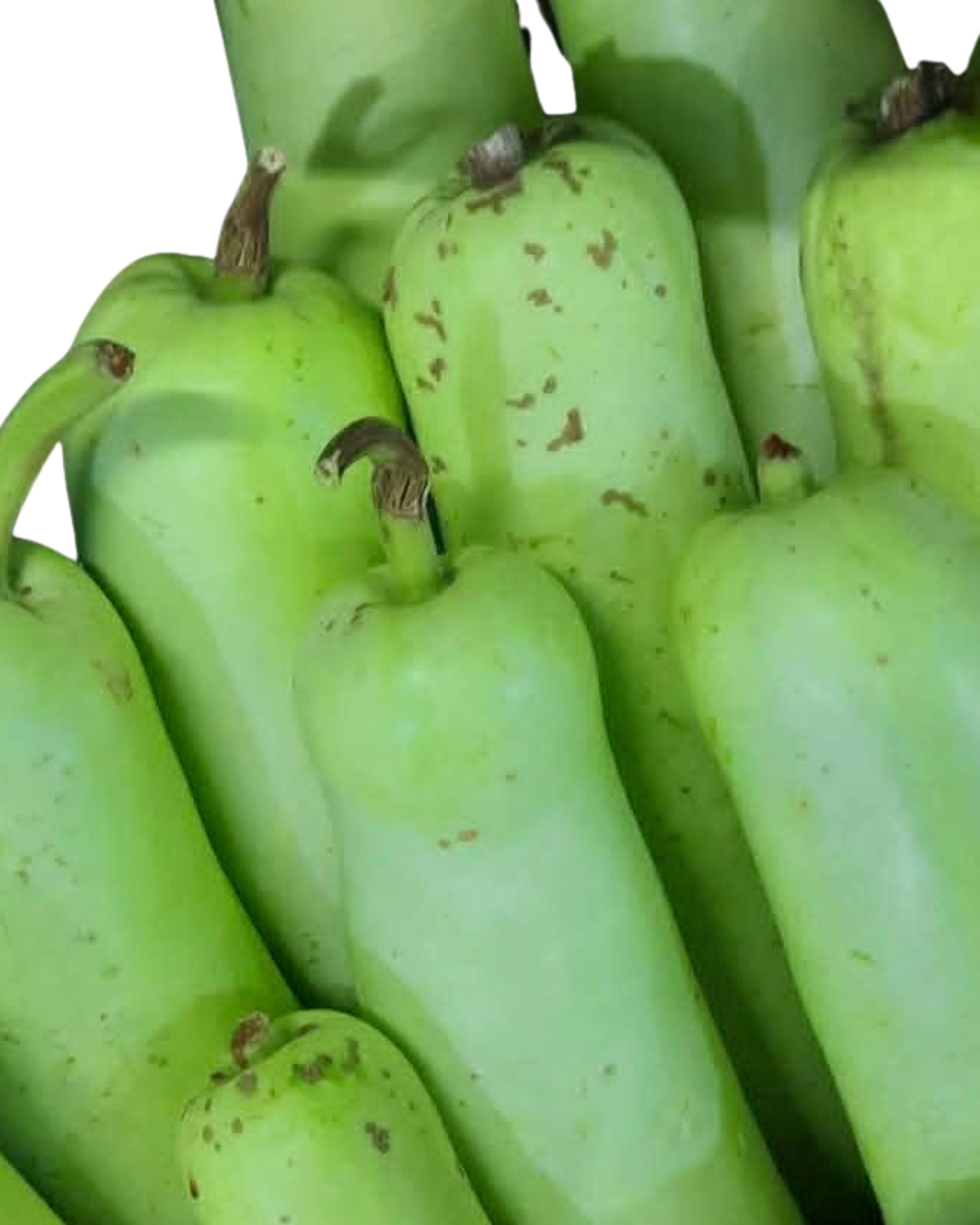 Upo