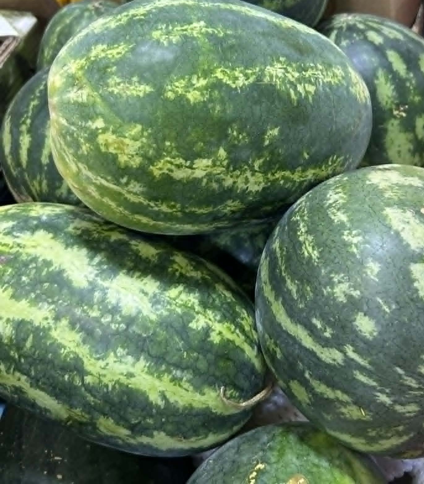 Watermelon