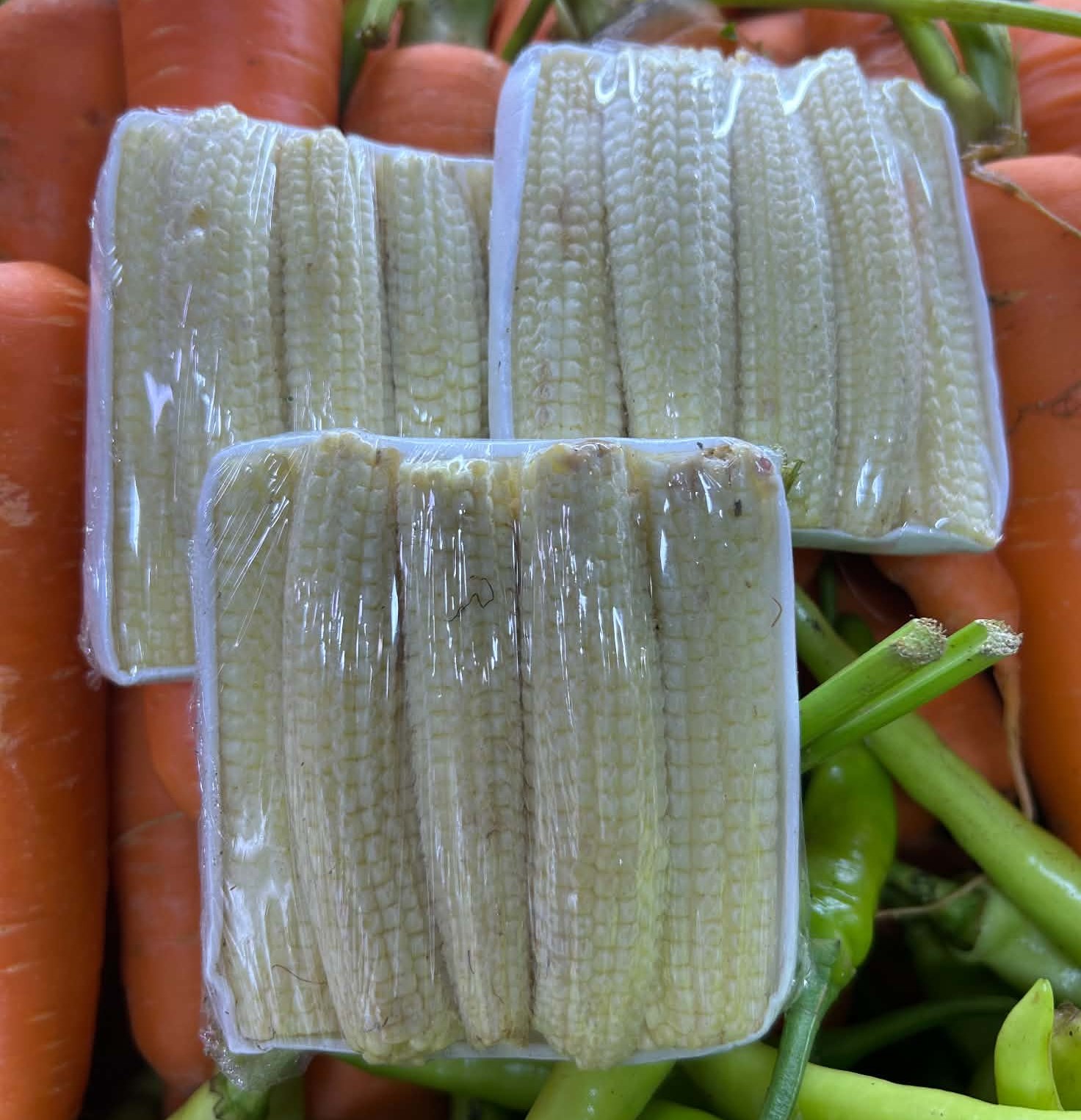 Young Corn